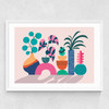 House Plants