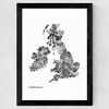 The British Isles by Phillip Sheffield Wide Black Frame