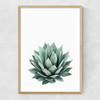 Succulent Set 2 Narrow Oak Frame