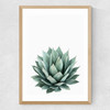 Succulent Set 2 Medium Oak Frame