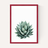 Succulent Set 2
