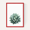 Succulent Set 2