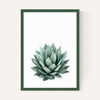 Succulent Set 2