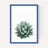 Succulent Set 2