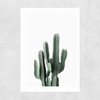 Succulent Set 3 Unframed Print