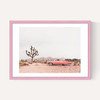 In the Desert