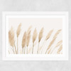 Pampas Wide White Frame