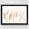 Pampas Wide Black Frame