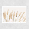 Pampas Unframed Print