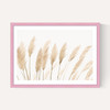 Pampas