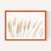 Pampas