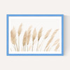 Pampas
