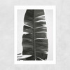 Tropical Jungle Vibes Unframed Print