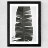 Tropical Jungle Vibes Wide Black Frame