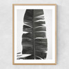 Tropical Jungle Vibes Narrow Oak Frame