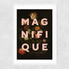 Magnifique Narrow White Frame