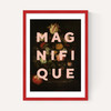 Magnifique