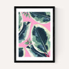 Rubber Plant