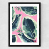 Rubber Plant