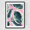Rubber Plant