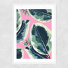 Rubber Plant Narrow White Frame