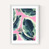 Rubber Plant