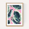 Rubber Plant