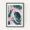 Rubber Plant