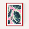 Rubber Plant