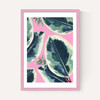 Rubber Plant