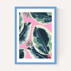 Rubber Plant