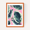 Rubber Plant
