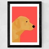 Labrador Wide Black Frame