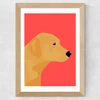 Labrador Wide Oak Frame