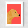Labrador Medium White Frame