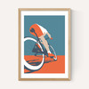 Triathlon Bike