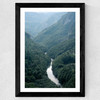 The River Through The Forest
