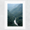 The River Through The Forest