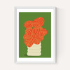Reimagined Calathea
