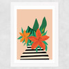 Tiger Lily Wide White Frame