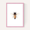 Bee by Sisi and Seb