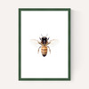 Bee by Sisi and Seb