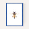 Bee by Sisi and Seb
