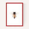 Bee by Sisi and Seb