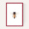 Bee by Sisi and Seb