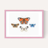 British Butterflies