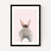 Baby Bunny Tail