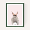 Baby Bunny Tail