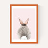 Baby Bunny Tail