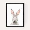 Baby Bunny